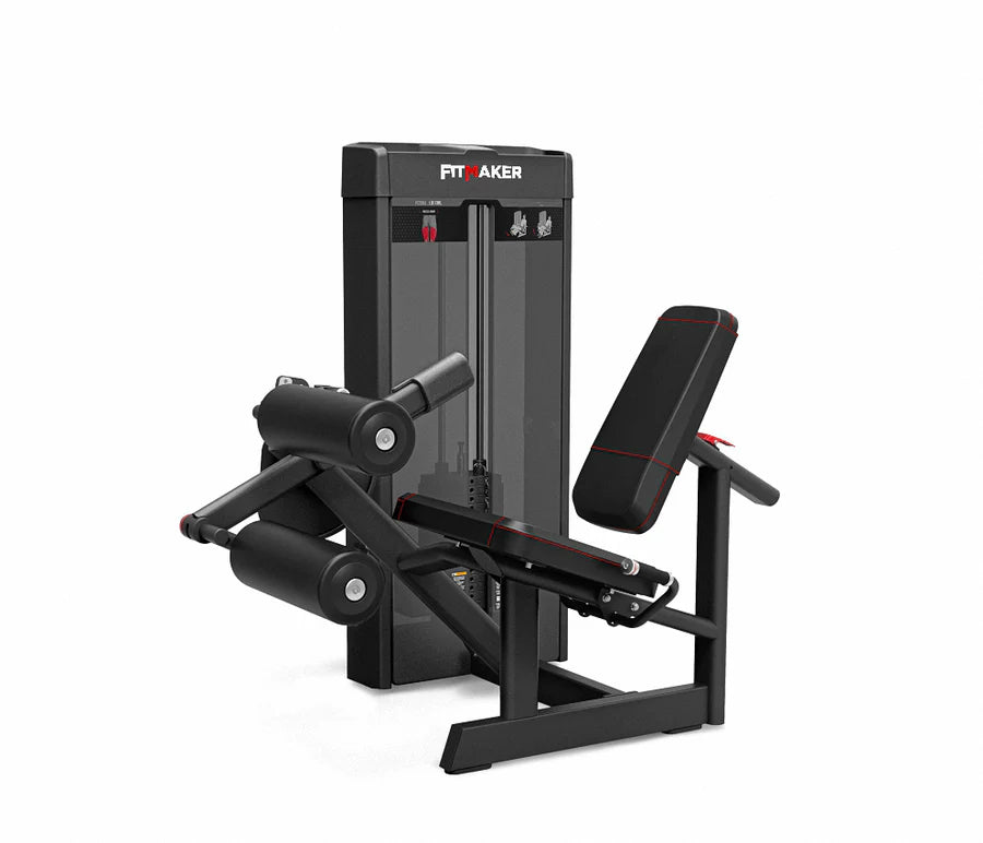 FEMORAL SENTADO PC2006 FITMAKER